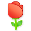 ::(玫瑰花)